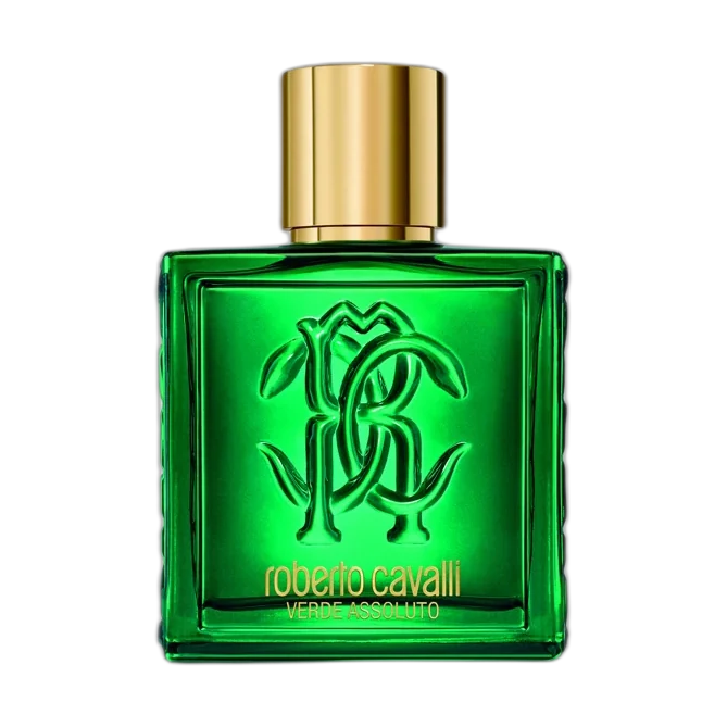 Roberto Cavalli Roberto Cavalli Uomo Verde Assoluto