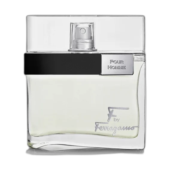 Salvatore Ferragamo F by Ferragamo Pour Homme