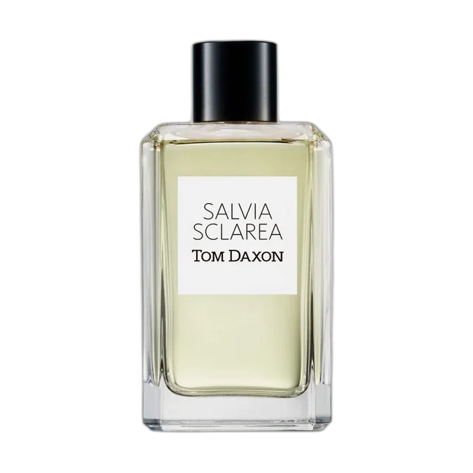 Tom Daxon Salvia Sclarea
