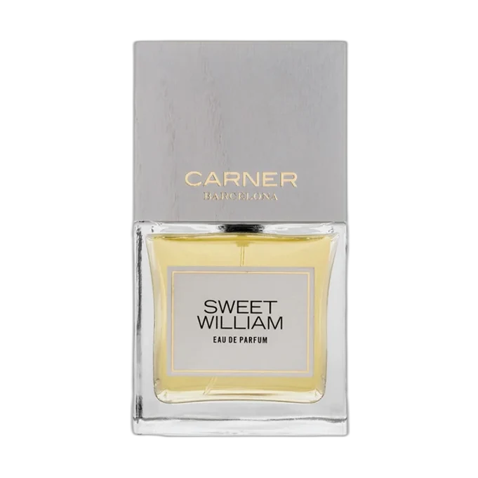Carner Barcelona Sweet William