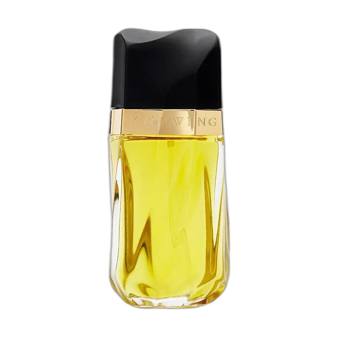 Estée Lauder Knowing
