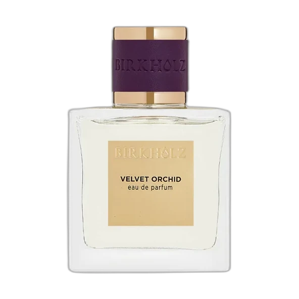 Birkholz Velvet Orchid