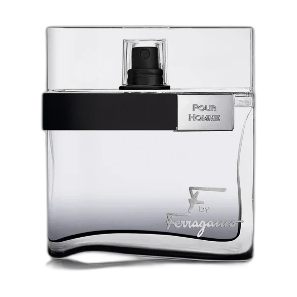 Salvatore Ferragamo F by Ferragamo Black