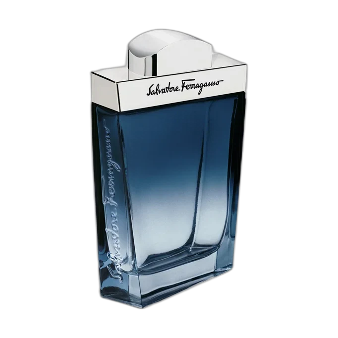 Salvatore Ferragamo Salvatore Ferragamo Subtil Pour Homme