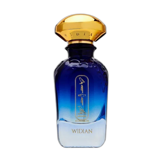 WIDIAN Aswan