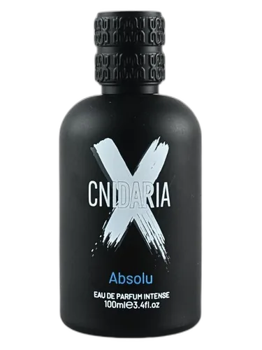 Samam Cnidaria X Absolu