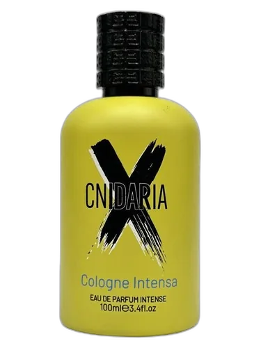 Samam Cnidaria X Cologne Intense