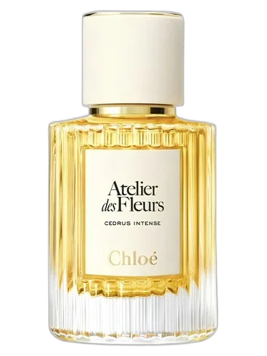 Chloé Cedrus Intense