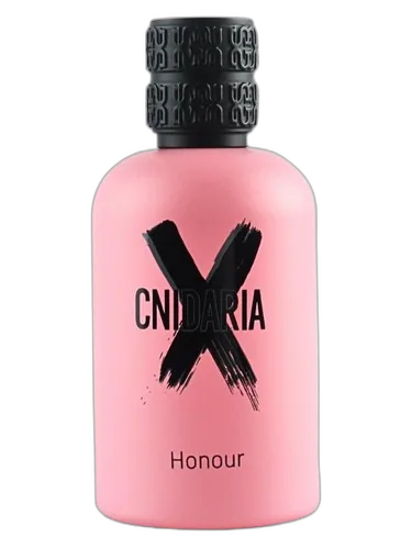 Samam Cnidaria X Honour