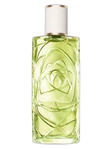 Lancôme Ôff Now