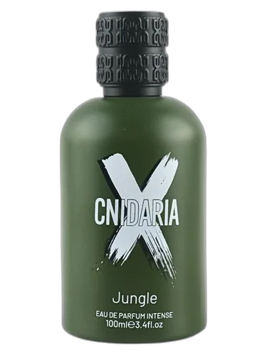 Samam Cnidaria Jungle