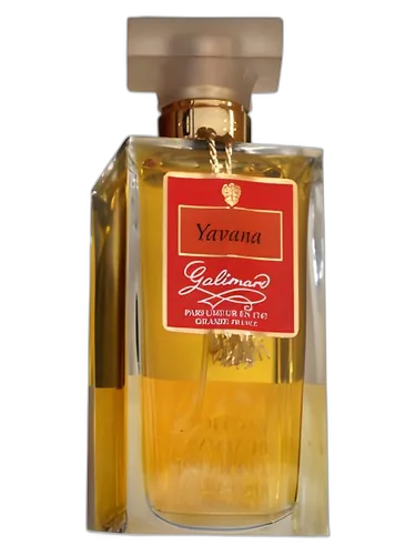 Galimard Yavana