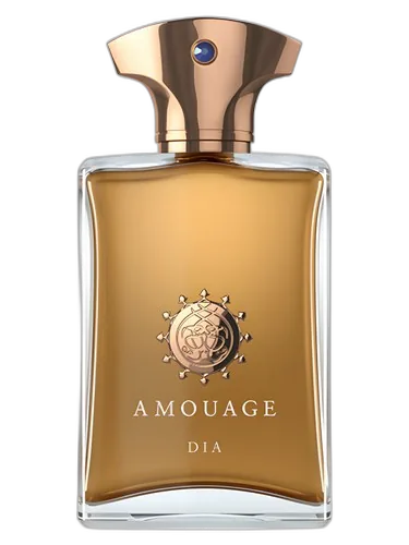 Amouage Dia Man