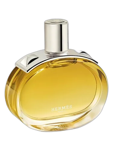Hermès Barénia Intense