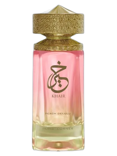 PARIS CORNER Khair Peach Delulu