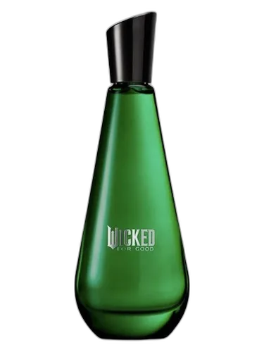 Ariana Grande Wicked For Good – Elphaba Enchanted