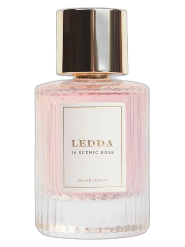 Ledda 16 Scenic Rose