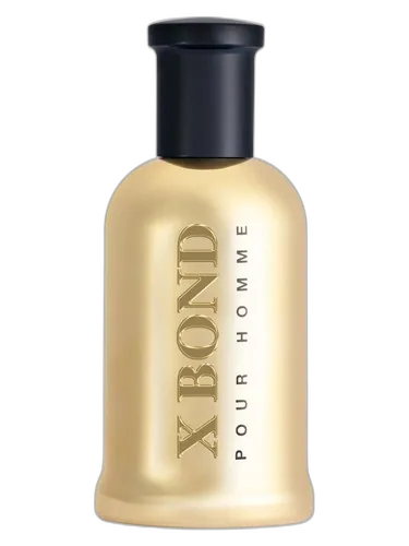 Louis Olivier X Bond Gold