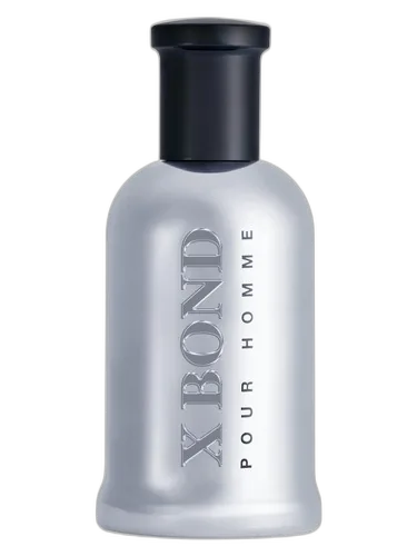 Louis Olivier X Bond Silver