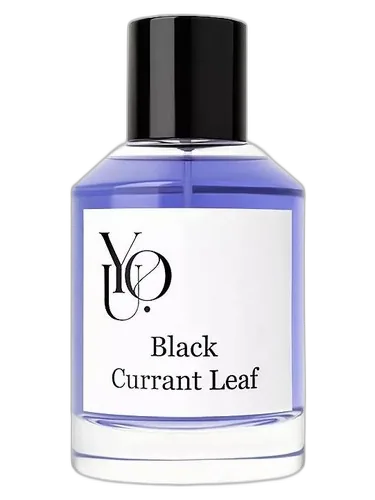 YOU Black Currant Leaf