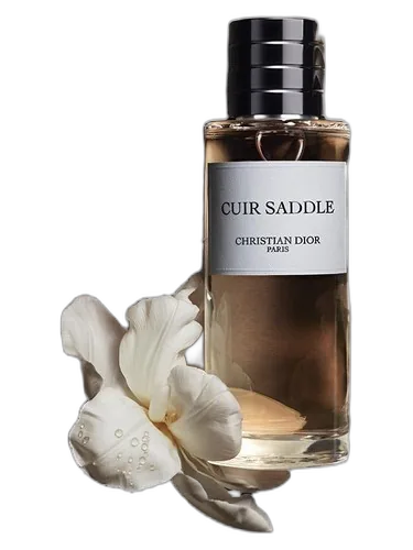 Dior Cuir Saddle