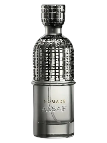 Assaf Nomad