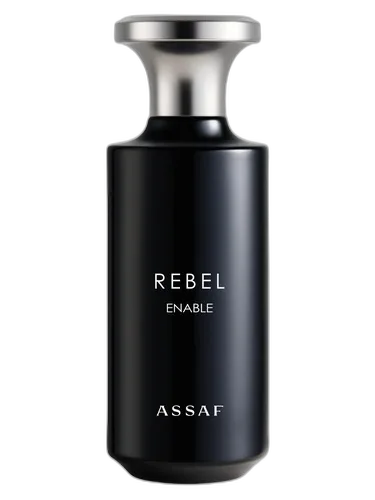 Assaf Rebel