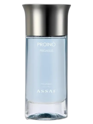 Assaf Pegasus Purino