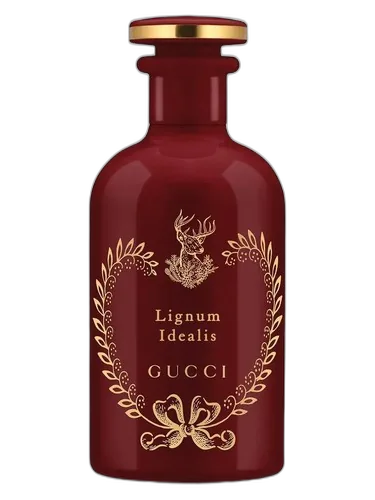 Gucci Lignum Idealis