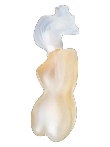 ID Parfums Ame Toscane