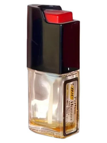 Bic Bic Homme