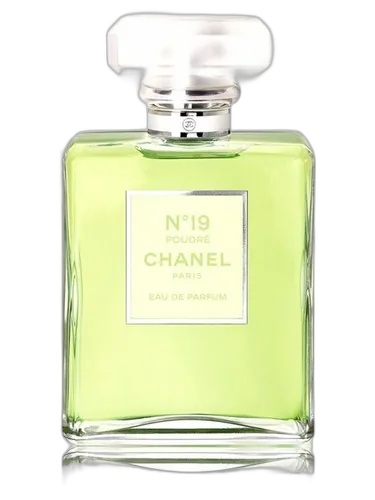 Chanel Chanel No 19 Poudre