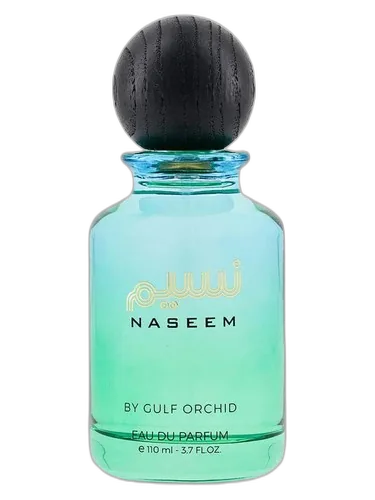 Gulf Orchid Naseem
