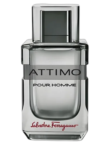Salvatore Ferragamo Attimo Pour Homme