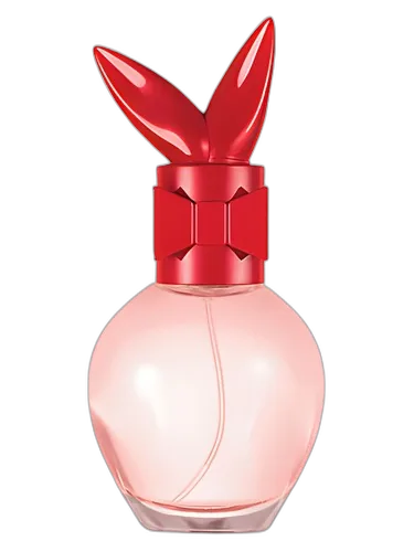 Playboy Play It Rock