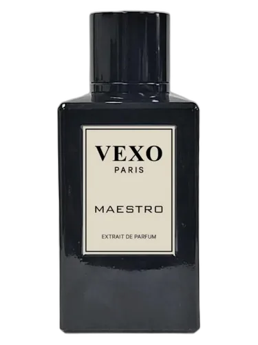 Vexo Paris Maestro
