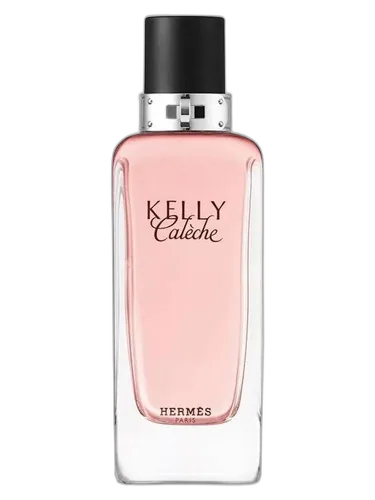 Hermès Kelly Calèche