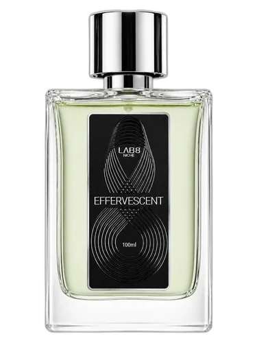LAB 8 Effervescent