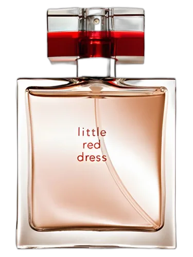 Avon Little Red Dress