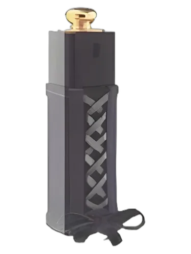 Dior Dior Addict Dior Twist