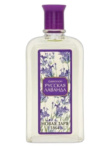 Новая Заря (The New Dawn) Русская Лаванда (Russian Lavender)