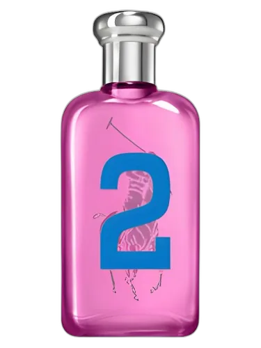 Ralph Lauren Big Pony 2