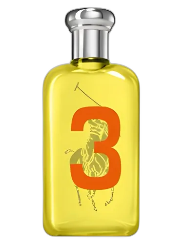 Ralph Lauren Big Pony 3