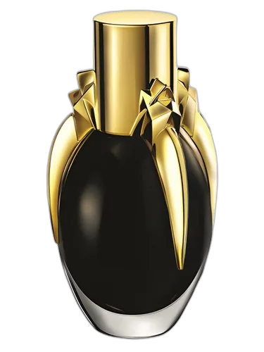 Lady Gaga Fame
