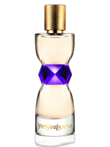 Yves Saint Laurent Manifesto