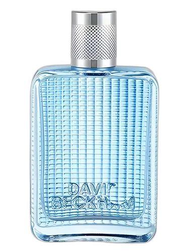 David Beckham The Essence