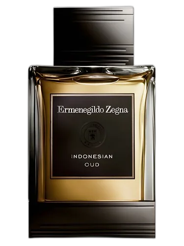 Ermenegildo Zegna Indonesian Oud Eau de Toilette