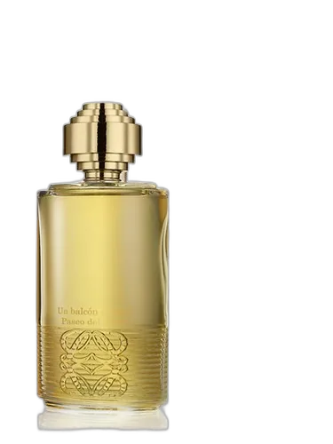 Loewe Tras la tormenta en el Jardín Botánico