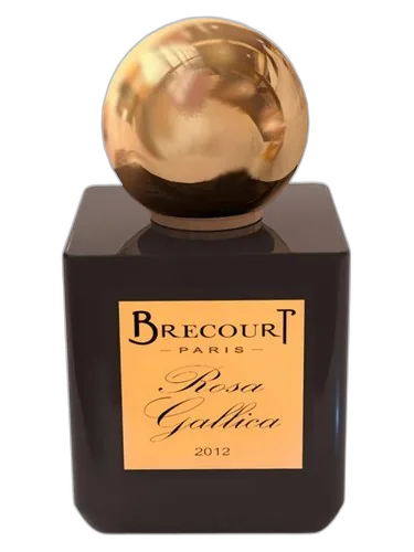 Brecourt Rosa Gallica