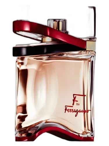 Salvatore Ferragamo F by Ferragamo